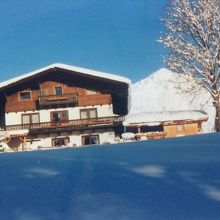 Haus Elsa Lejlighed Ramsau am Dachstein Eksteriør billede