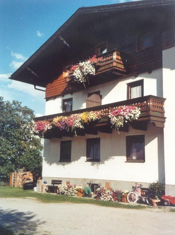 Haus Elsa Lejlighed Ramsau am Dachstein Eksteriør billede